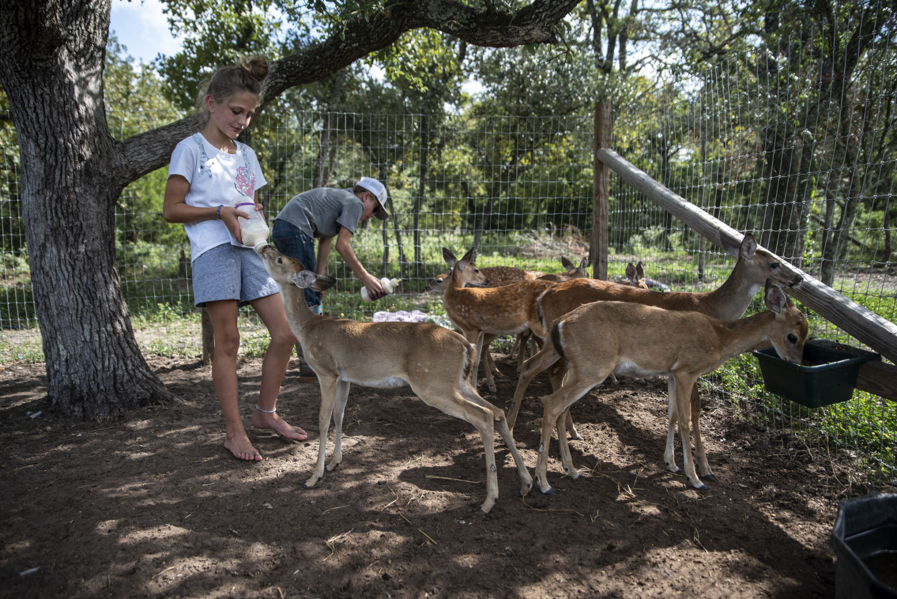 Nay Nay's Wildlife Rehabilitation
